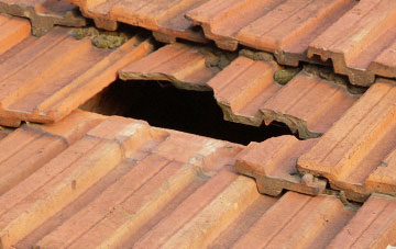 roof repair Purlogue, Shropshire